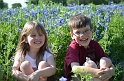 Kids_BlueBonnets_2012 (40)